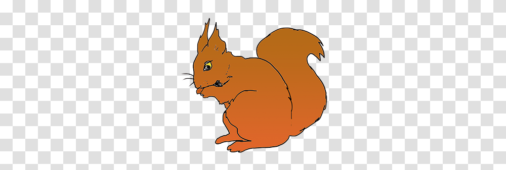 Red Squirrel, Rodent, Mammal, Animal, Label Transparent Png