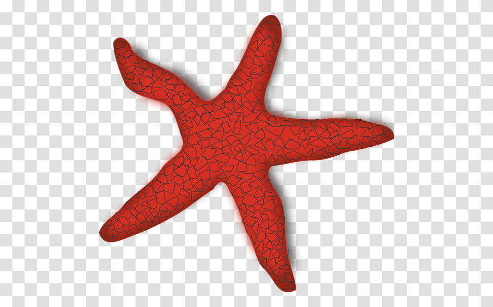 Red Starfish Clip Art, Sea Life, Animal, Invertebrate, Giraffe Transparent Png