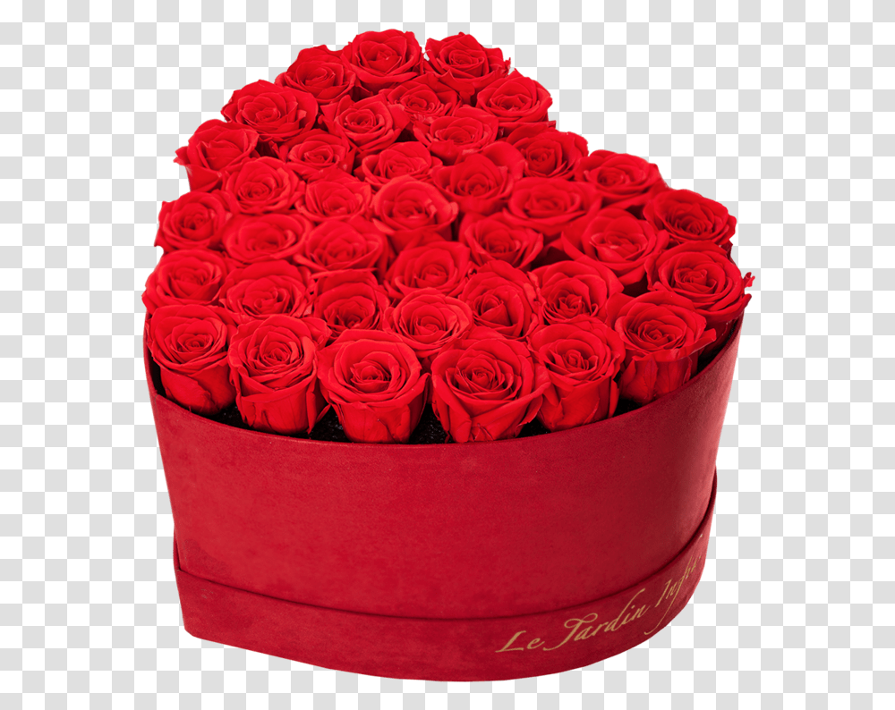 Red Suede Box With Roses Garden Roses, Graphics, Art, Floral Design, Pattern Transparent Png