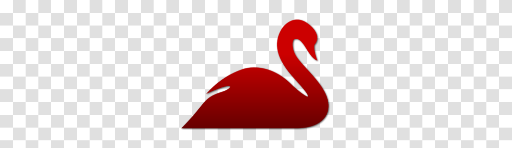 Red Swan, Animal, Bird, Flamingo, Waterfowl Transparent Png