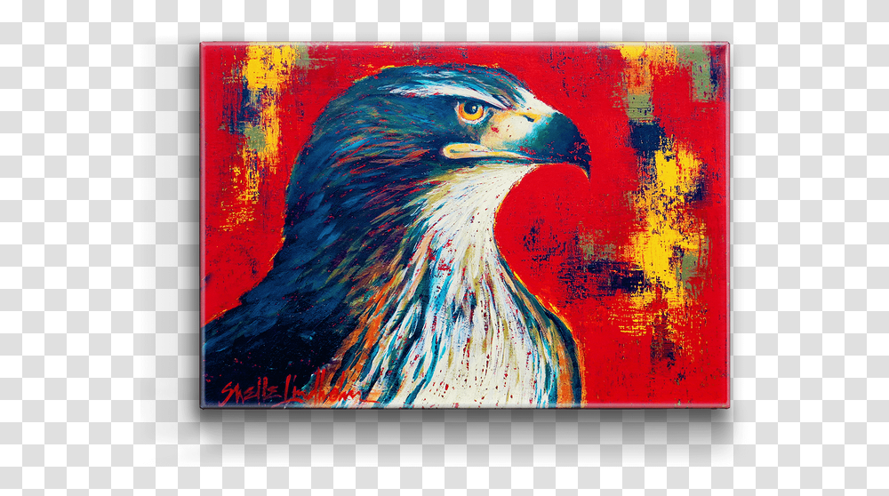 Red Tailed Hawk Box Art Osprey, Modern Art, Bird, Animal, Painting Transparent Png
