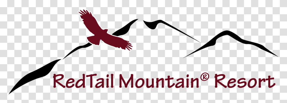 Red Tailed Hawk Golden Eagle, Animal, Bird, Logo Transparent Png