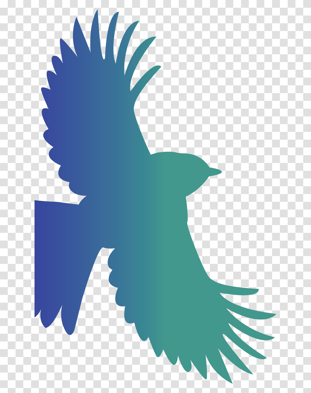 Red Tailed Hawk Hawk, Silhouette, Bird Transparent Png