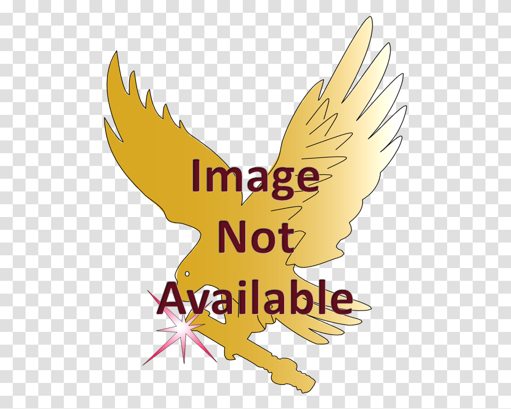 Red Tailed Hawk, Poster, Advertisement Transparent Png