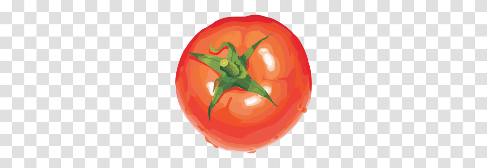 Red Tomato Red, Plant, Vegetable, Food Transparent Png