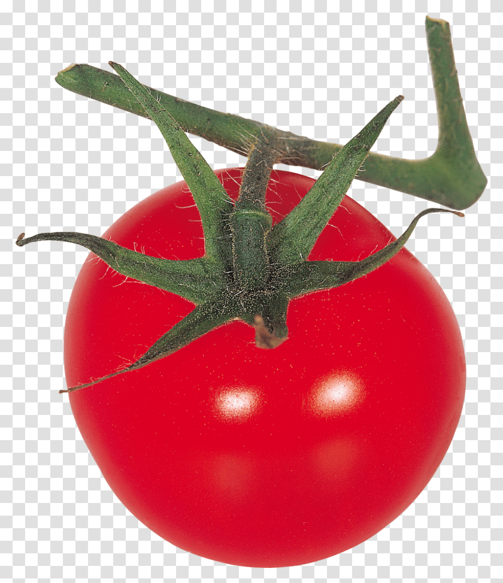 Red Tomatoes Image Tomato, Plant, Vegetable, Food Transparent Png