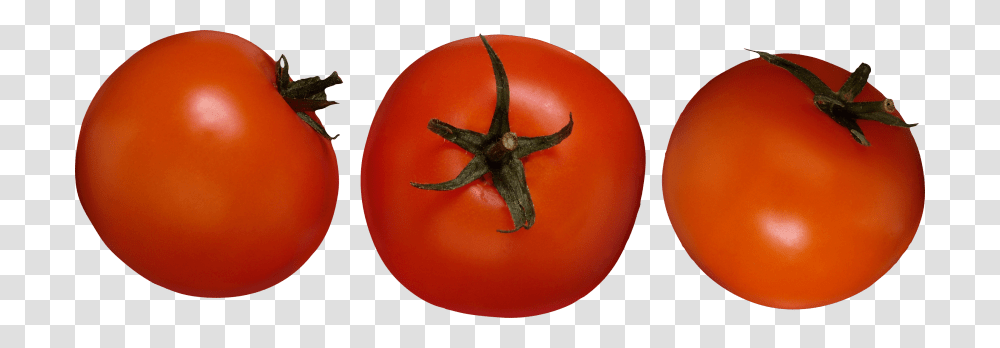 Red Tomatoes, Plant, Vegetable, Food, Antelope Transparent Png