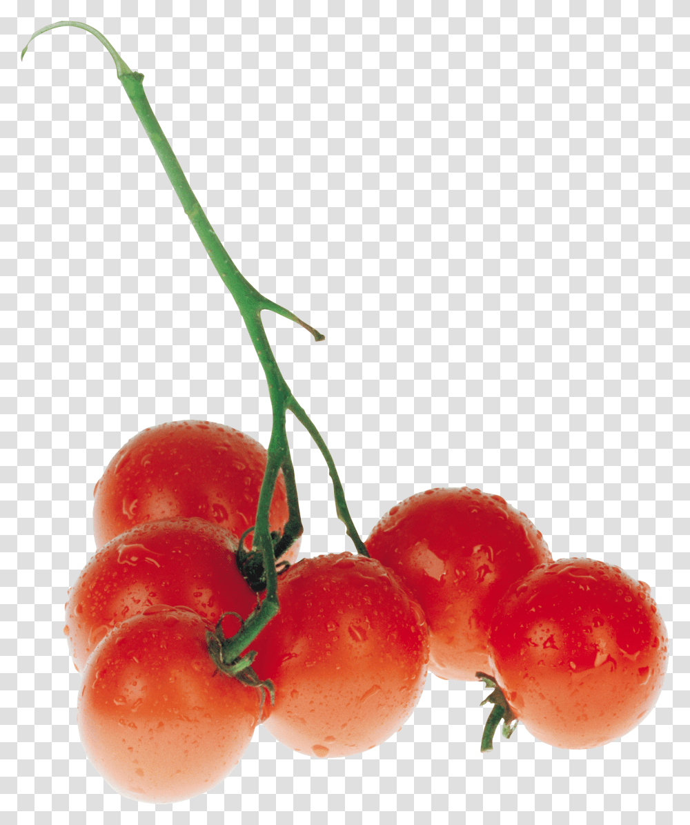 Red Tomatoes Tomato, Plant, Fruit, Food, Cherry Transparent Png