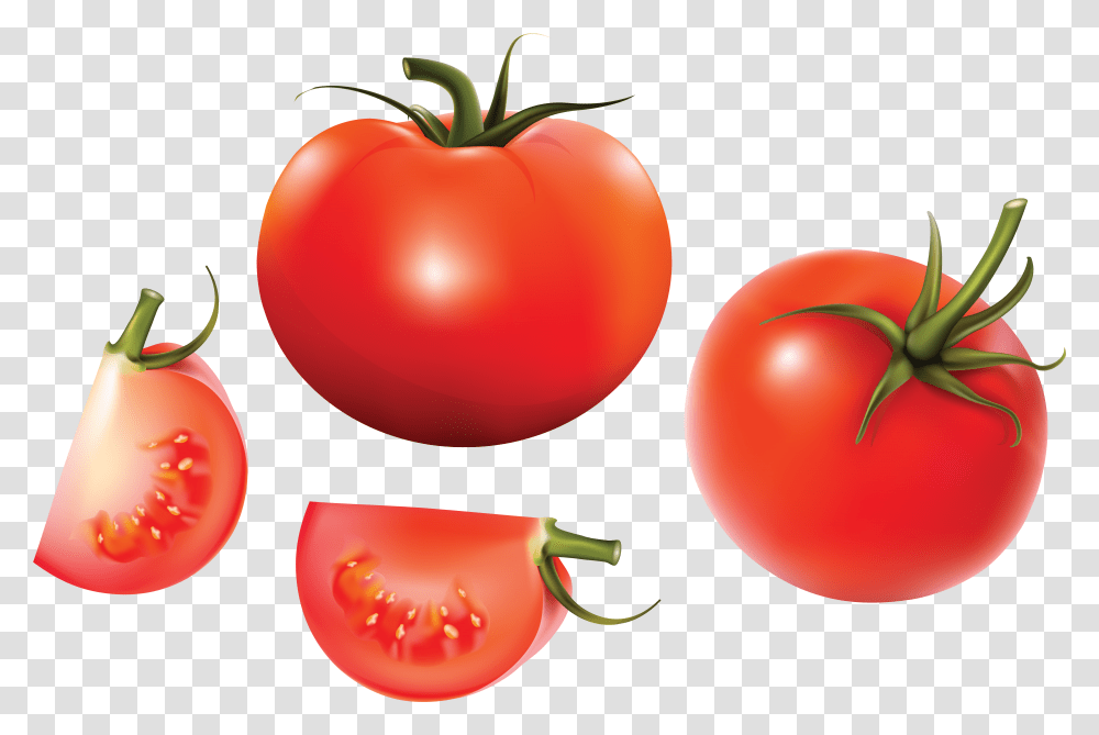 Red Tomatoes Tomato Vector, Plant, Vegetable, Food Transparent Png