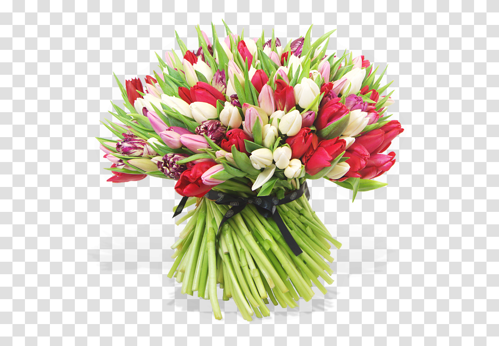 Red Tulip Bouquet, Plant, Flower, Blossom, Flower Bouquet Transparent Png