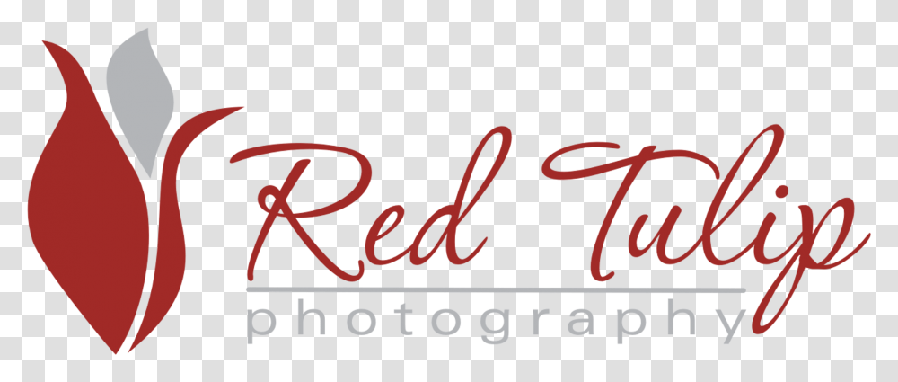 Red Tulip Photography Calligraphy, Dynamite, Bomb, Weapon Transparent Png