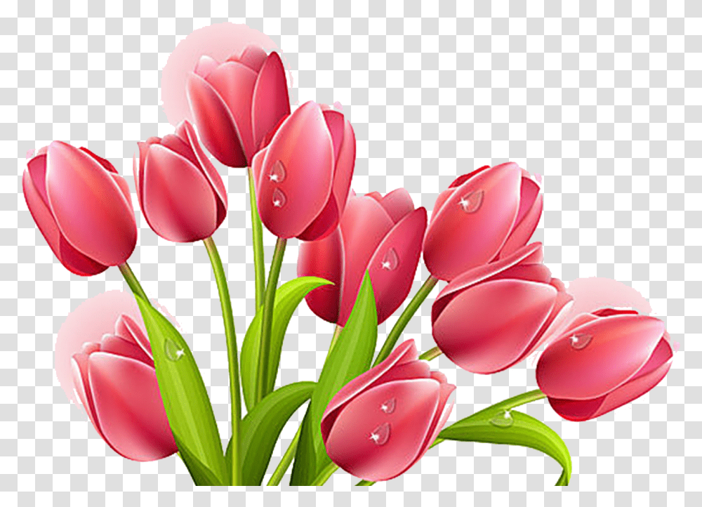 Red Tulip Tulip Clipart Background, Plant, Flower, Blossom, Petal Transparent Png