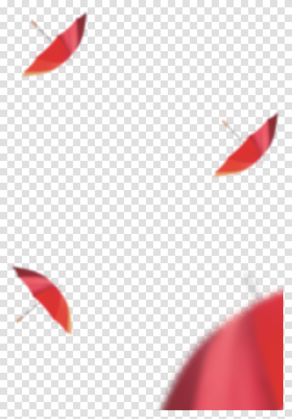 Red Umbrella, Animal, Plant, Flower Transparent Png