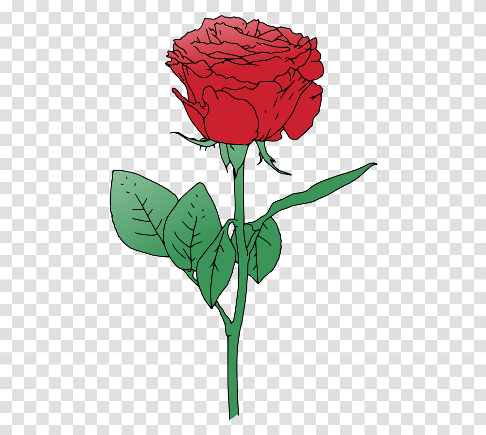 Red Vector Rooweb Red Roses Vector Free, Flower, Plant, Blossom, Leaf Transparent Png