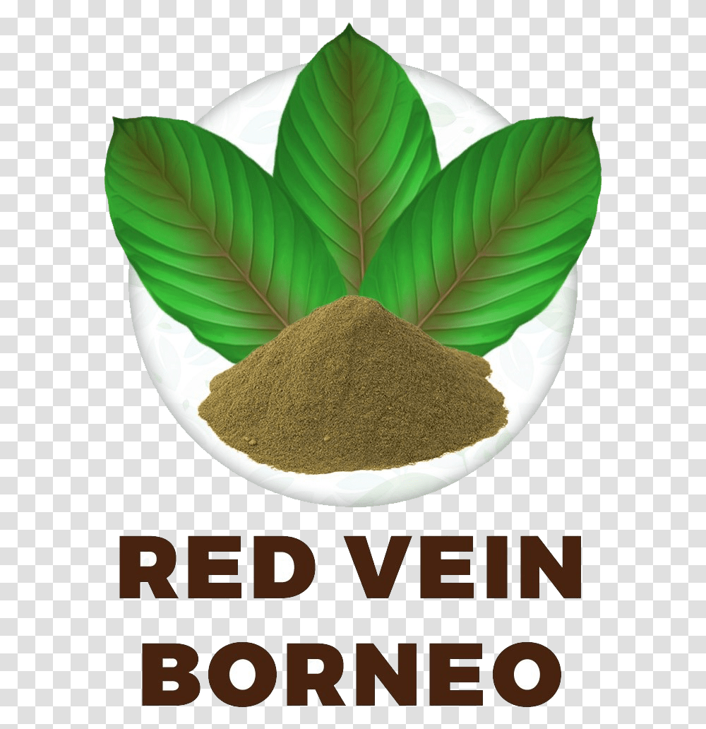 Red Vein Borneo Saigon Cinnamon, Powder, Plant Transparent Png