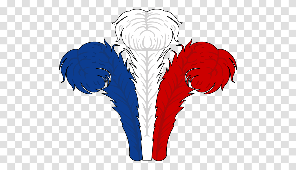 Red White And Blue Feathers, Animal, Bird, Beak Transparent Png