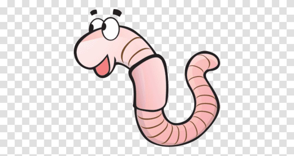 Red Wiggler Worms Red Wiggler Worm Cartoon, Invertebrate, Animal, Label, Text Transparent Png