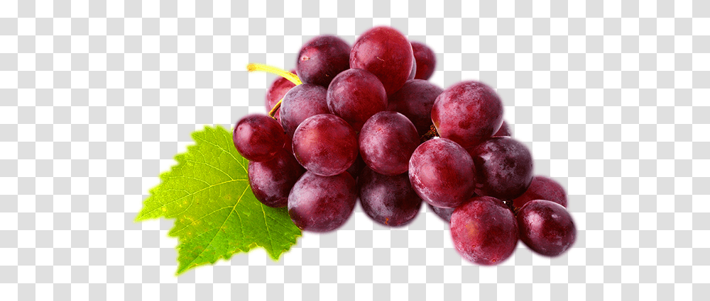 Red Wine Juice Common Grape Vine Red Globe Red Globe Grapes, Plant, Fruit Transparent Png
