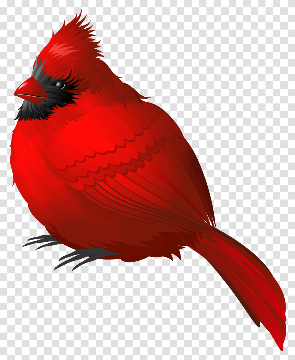 Red Winter Bird Clipart Image Red Bird No Background, Animal, Cardinal Transparent Png