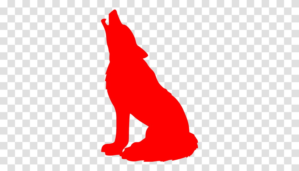 Red Wolf Cliparts Free Download Clip Art, Animal, Mammal, Person, Human Transparent Png