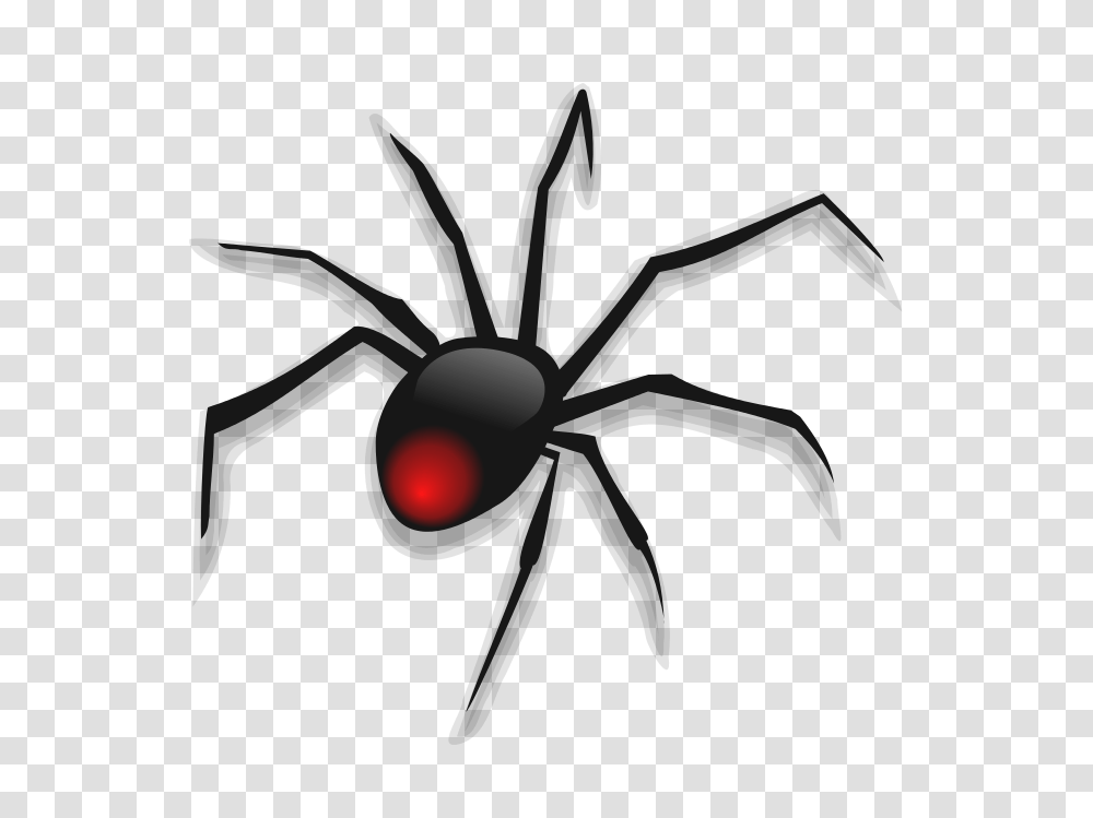 Redback Spider Clip Art, Invertebrate, Animal, Tarantula, Insect Transparent Png