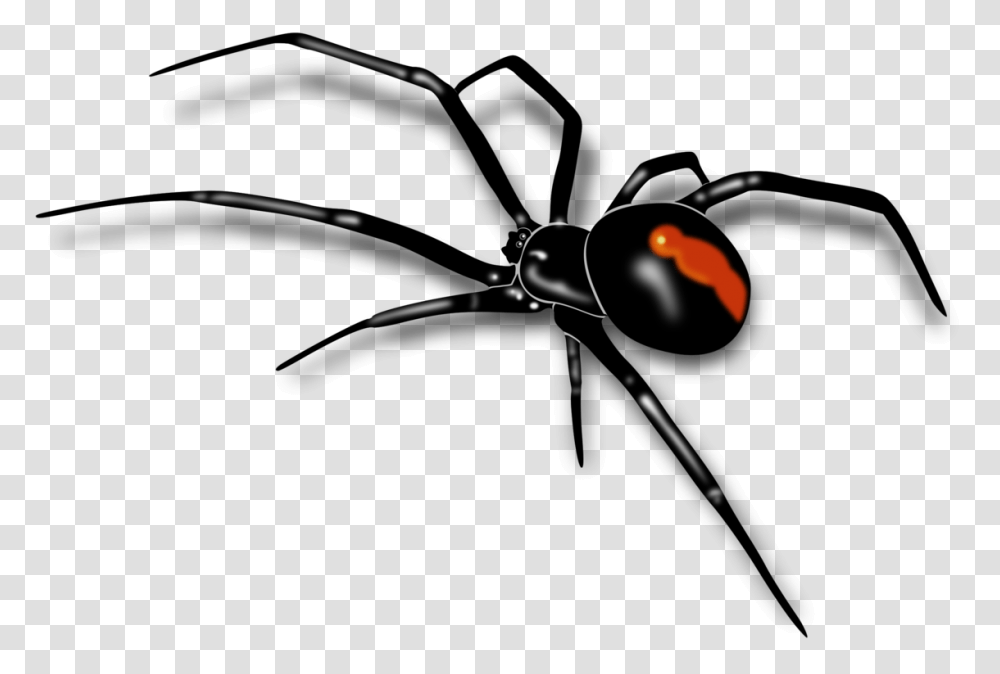 Redback Spider Sydney Funnel Web Spider Southern Black Widow Red, Insect, Invertebrate, Animal, Arachnid Transparent Png