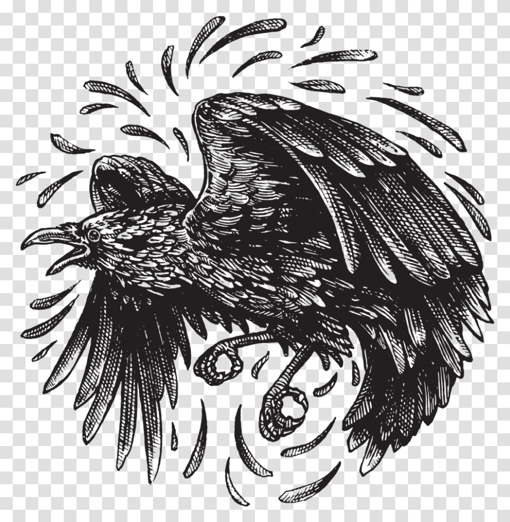 Redbubble Raven Illustration, Bird, Animal, Stencil, Eagle Transparent Png