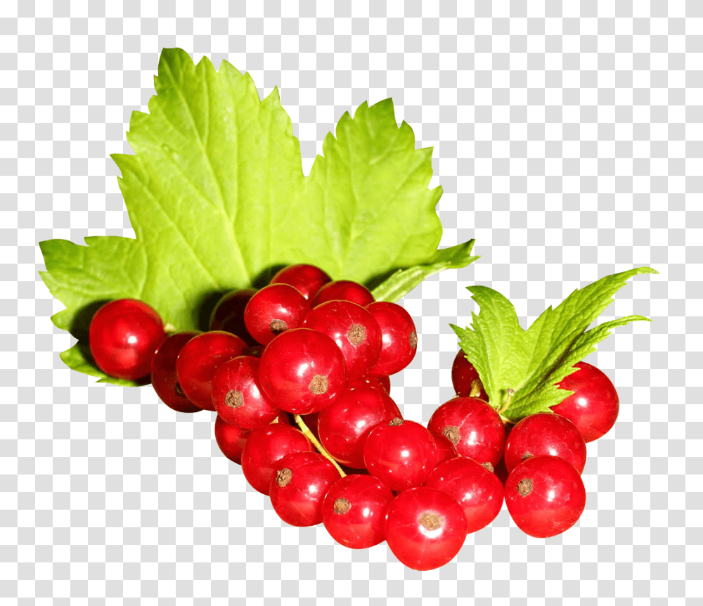 Redcurrant, Fruit, Plant, Food, Cherry Transparent Png