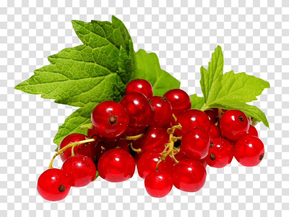 Redcurrant Image, Fruit, Plant, Food, Cherry Transparent Png