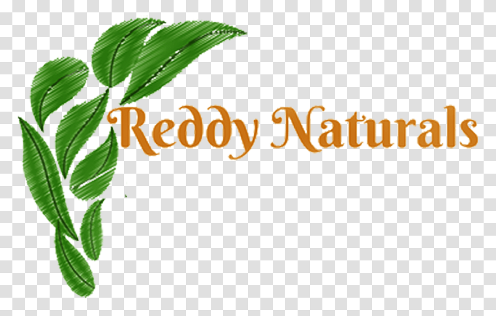 Reddy Naturals Reddy Naturals, Vegetation, Plant, Potted Plant, Vase Transparent Png
