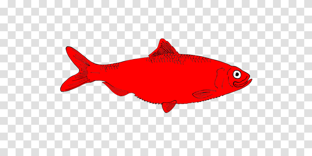 Redfish Clip Art, Coho, Animal, Goldfish Transparent Png