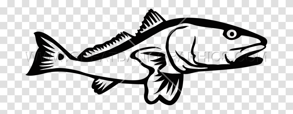 Redfish Production Ready Artwork For T Shirt Printing, Bow, Animal, Sea Life Transparent Png