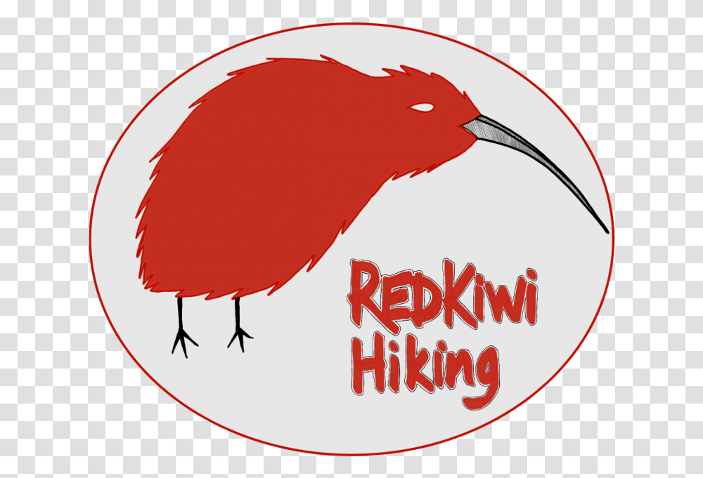 Redkiwi Hiking Stiem, Animal, Bird, Finch, Kiwi Bird Transparent Png