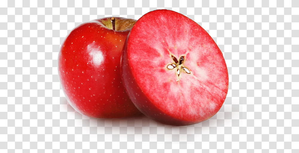 Redmoon Apple Apples That Are Red Inside, Plant, Fruit, Food, Insect Transparent Png