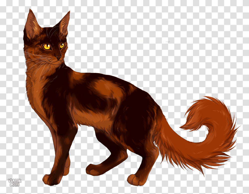 Redtail Redtail Oakheart Warrior Cats, Animal, Mammal, Pet, Chicken Transparent Png