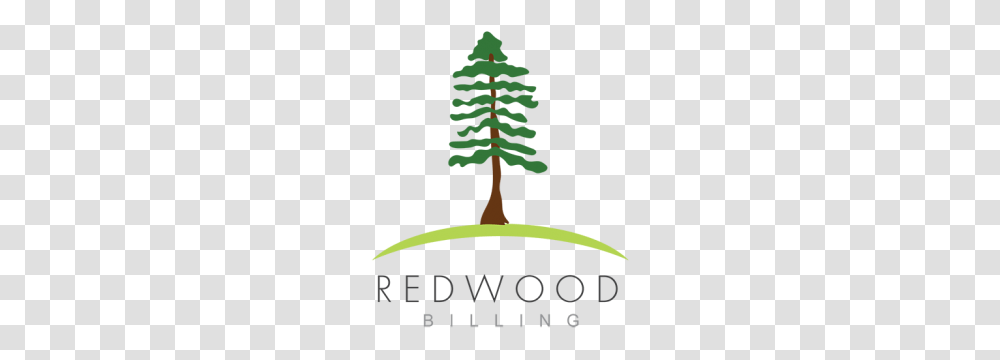 Redwood Billing, Tree, Plant, Poster, Advertisement Transparent Png