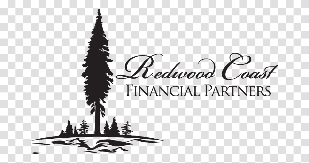 Redwood Coast Financial Partners Colorado Spruce, Tree, Plant, Silhouette Transparent Png