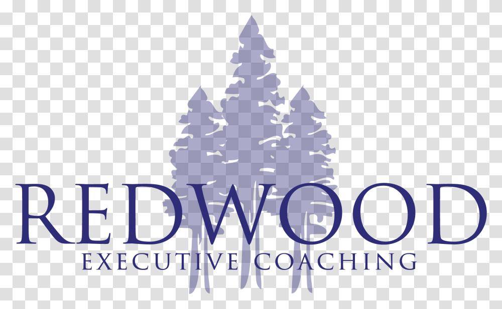 Redwood Executive Coaching Olive Tree, Plant, Fir, Poster, Advertisement Transparent Png