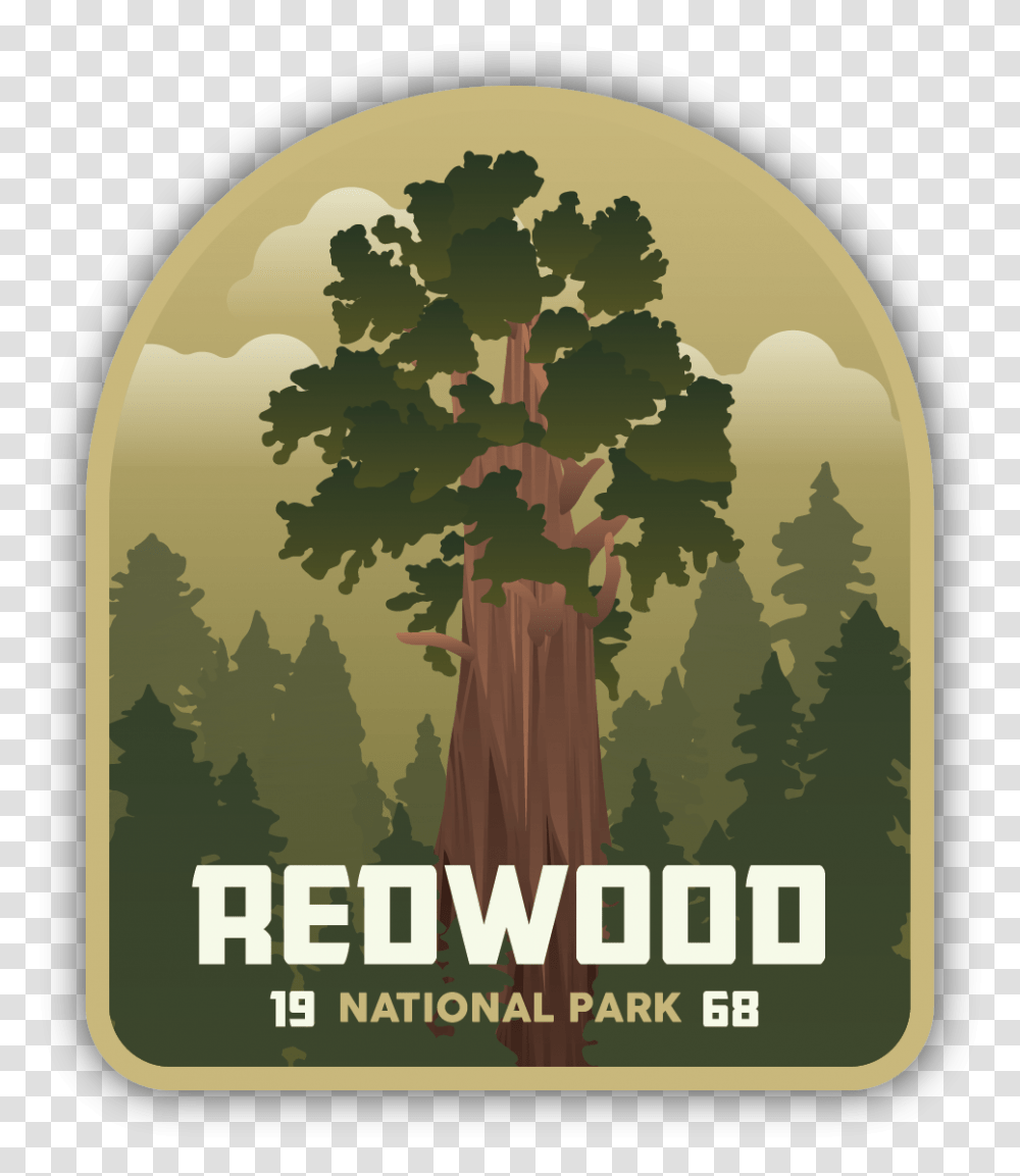 Redwood National Park Sticker Gambel Oak, Tree, Plant, Vegetation, Woodland Transparent Png