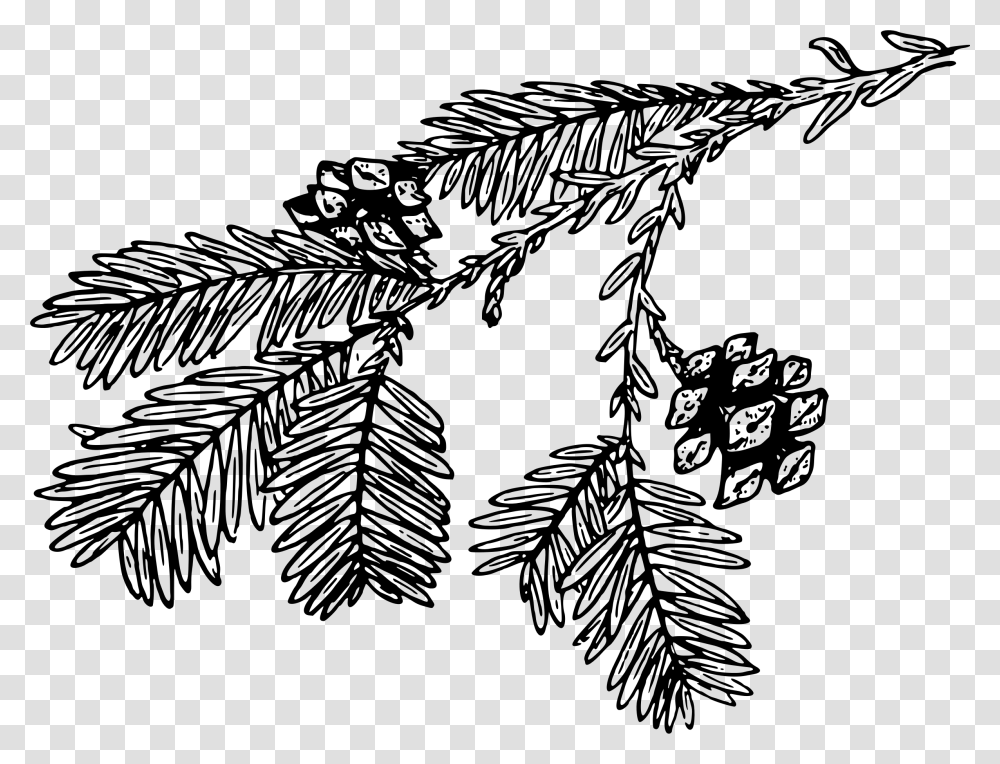 Redwood Tree Clipart Redwood Branch Black And White Clipart, Gray, World Of Warcraft Transparent Png