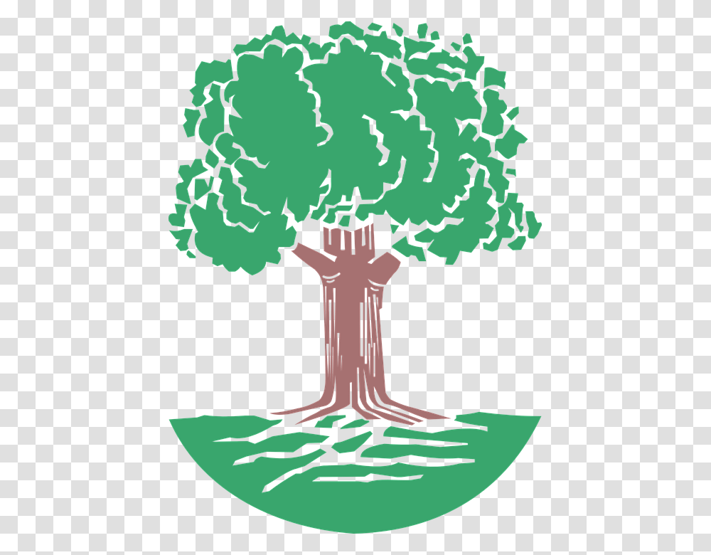 Redwood Tree Cliparts 7 Buy Clip Art Oak Tree Coat Of Arms, Plant, Root, Painting, Tree Trunk Transparent Png