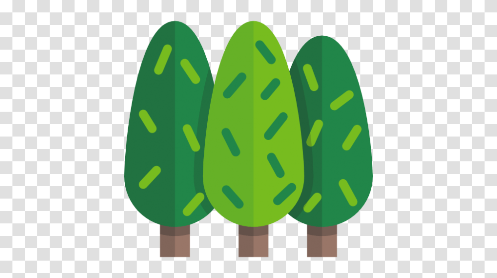 Redwood Tree, Cucumber, Vegetable, Plant, Food Transparent Png