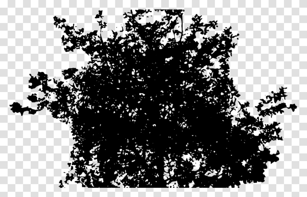 Redwood Tree Silhouette Wood Clipart Clipground Small Tree Silhouette, Gray, World Of Warcraft Transparent Png