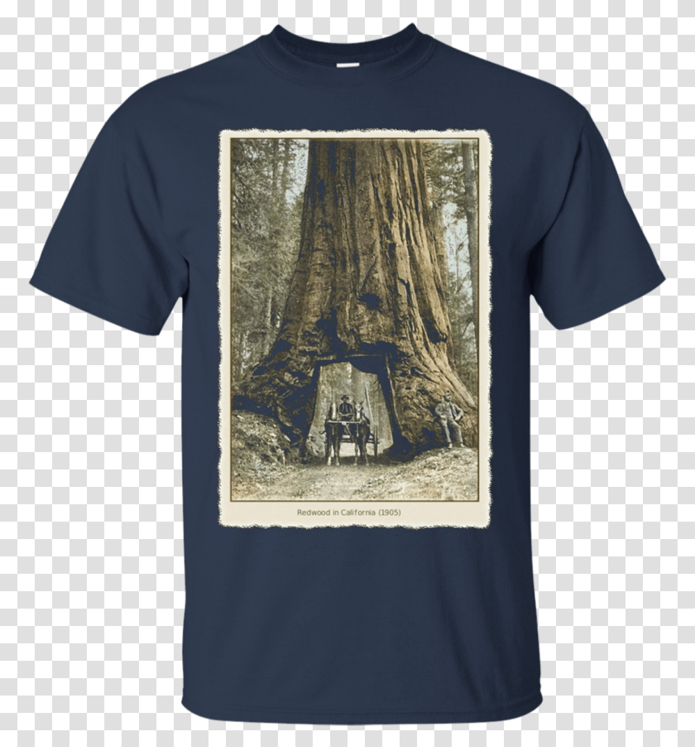 Redwood Tree T Shirt Gucci, Apparel, T-Shirt, Sleeve Transparent Png