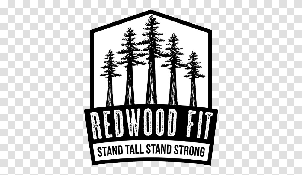 Redwoodfit Blackampwhite Watermark Illustration, Poster, Advertisement, Tree Transparent Png