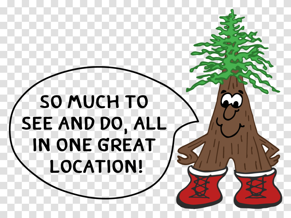 Redwoods Campground & Rv Park Nestled In The Fiction, Tree, Plant, Clothing, Ornament Transparent Png