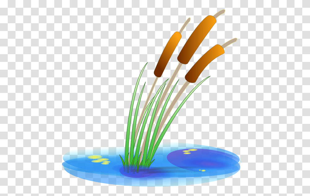 Reed Clip Art, Plant, Flower, Blossom, Pollen Transparent Png