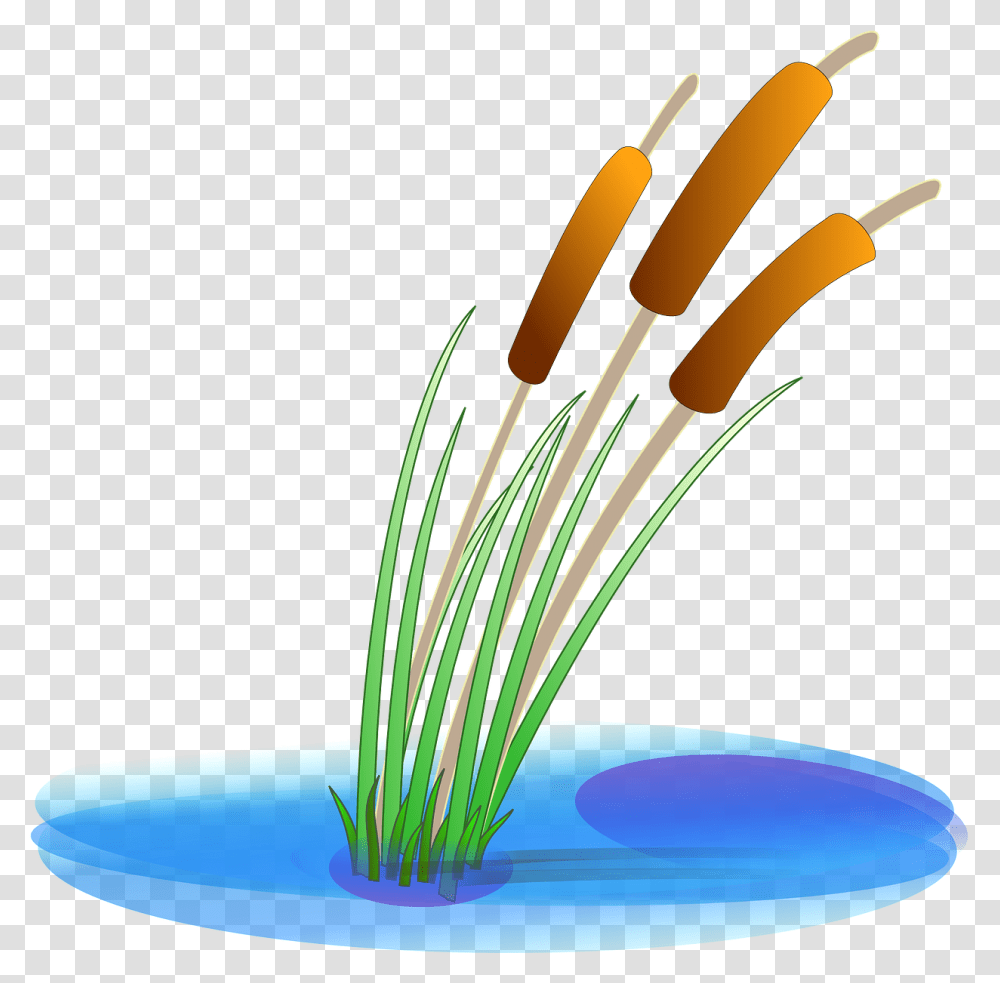 Reed Clip Arts Reed Clipart, Mixer, Appliance, Wire, Plant Transparent Png