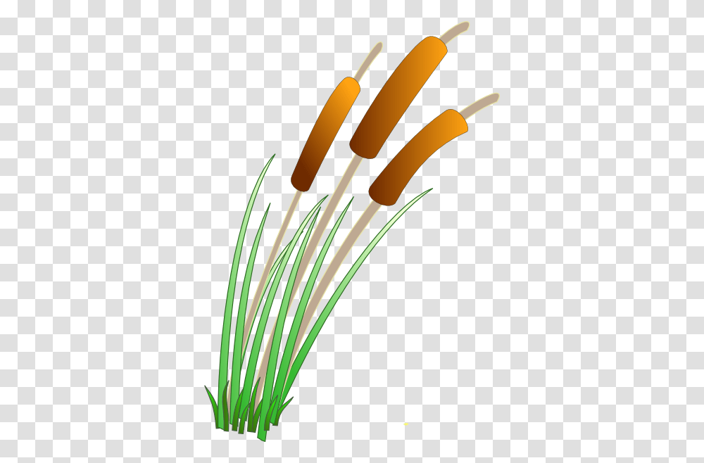 Reeds Clip Art, Plant, Wire, Cable Transparent Png