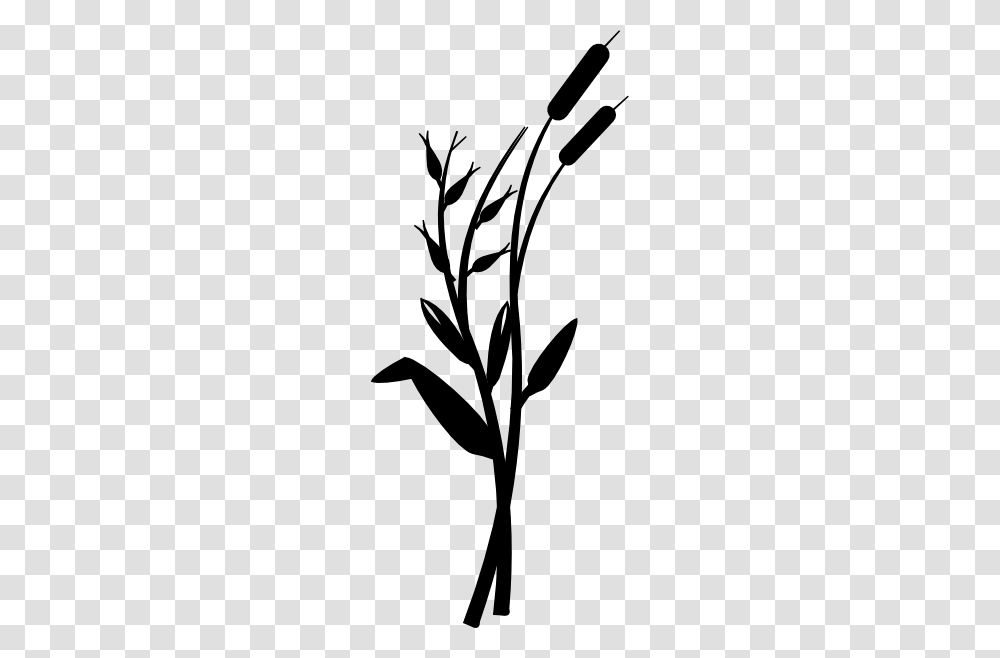 Reeds Clip Art, Stencil, Plant, Flower, Blossom Transparent Png